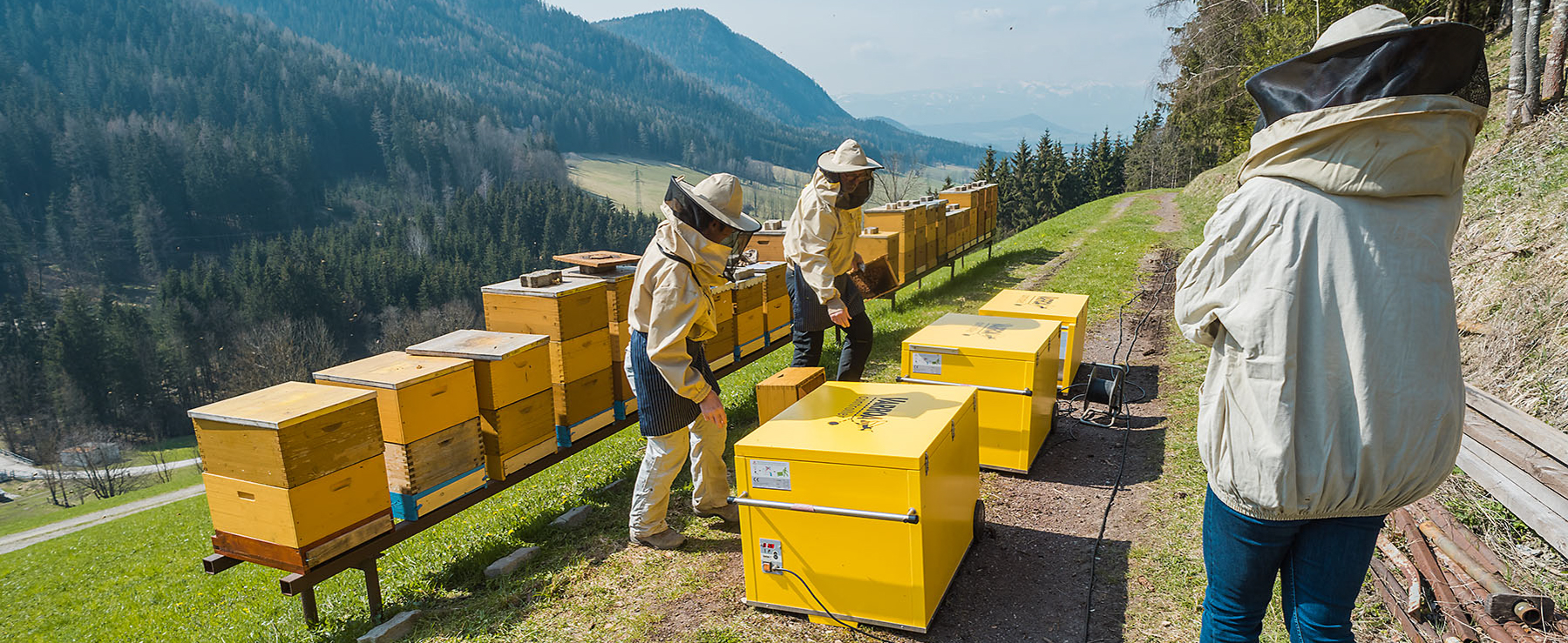 Varroa Controller