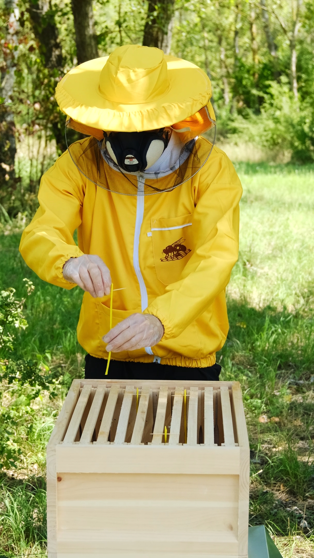 Vkladanie pásika Oxal Clean medzi rámiky úľa